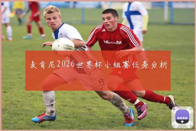 麦肯尼2026世界杯小组赛任务分析