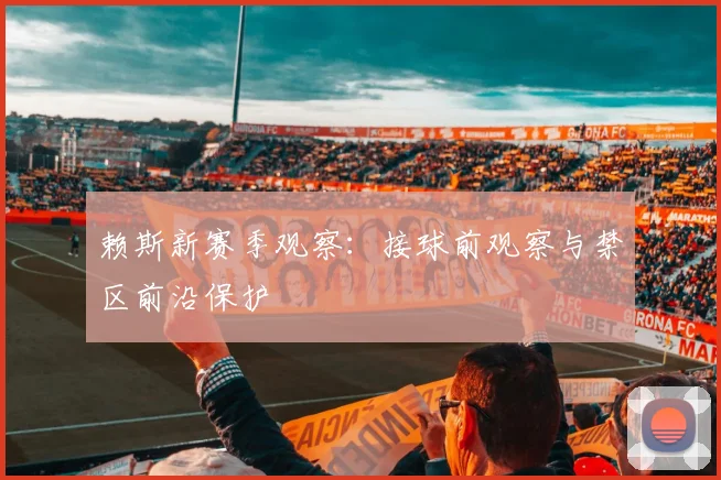 赖斯新赛季观察：接球前观察与禁区前沿保护