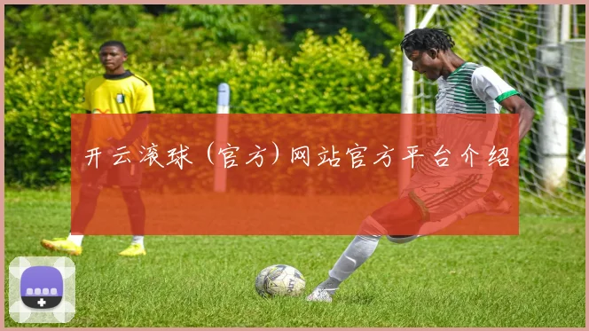 开云滚球 (官方)网站官方平台介绍