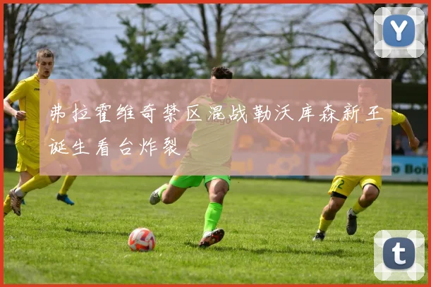 弗拉霍维奇禁区混战勒沃库森新王诞生看台炸裂